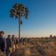 Buschwanderung in Botswana