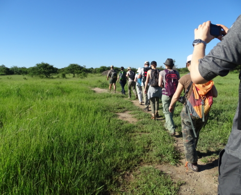 Buschwanderung in Südafrika