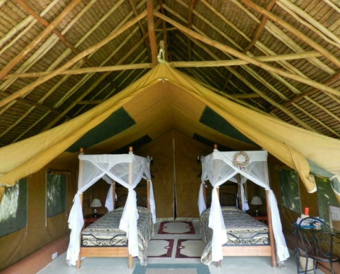 Flamingo Hill Tented Camp Kenia