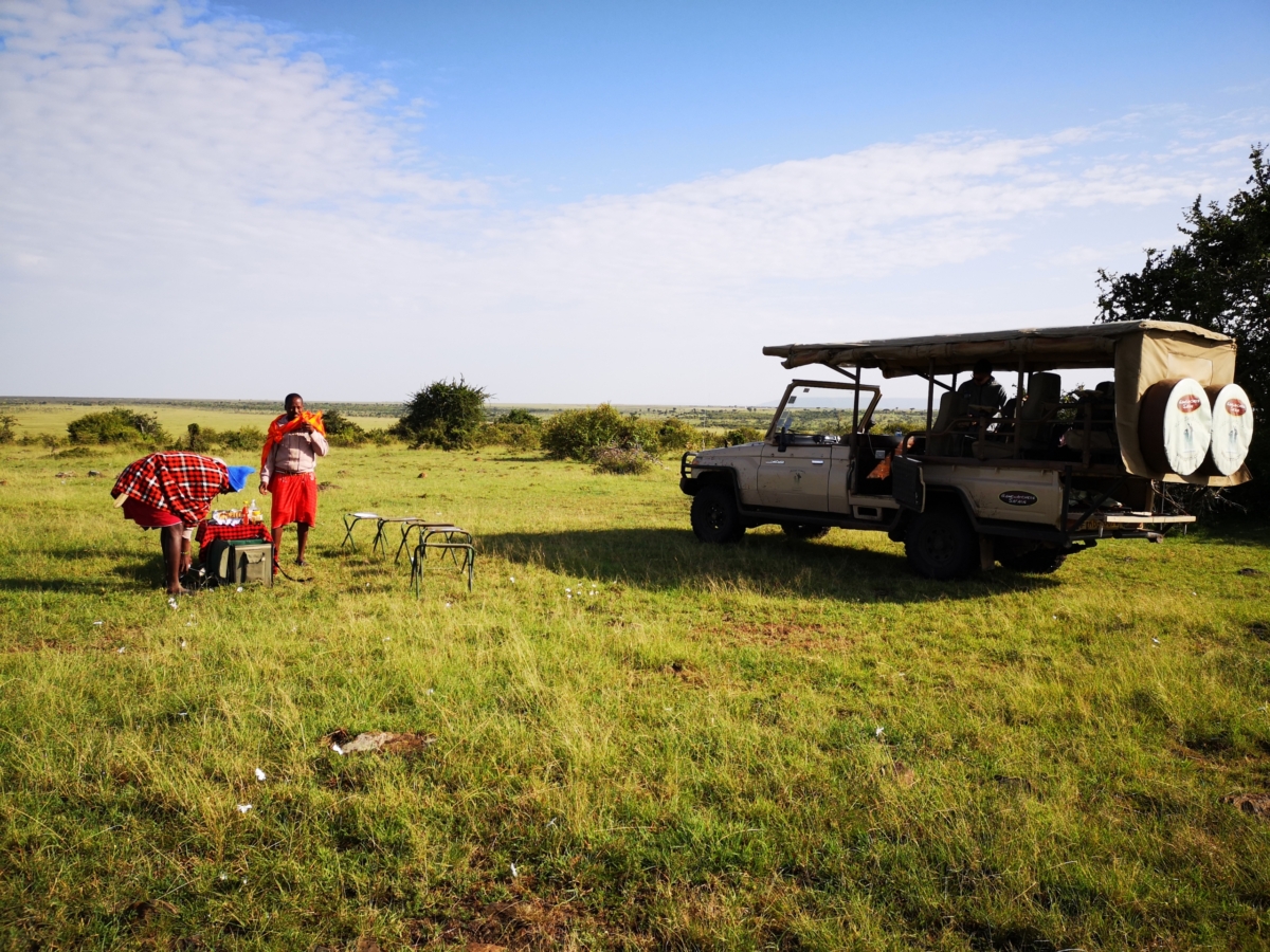 Jeep in der Massai Mara Kenia