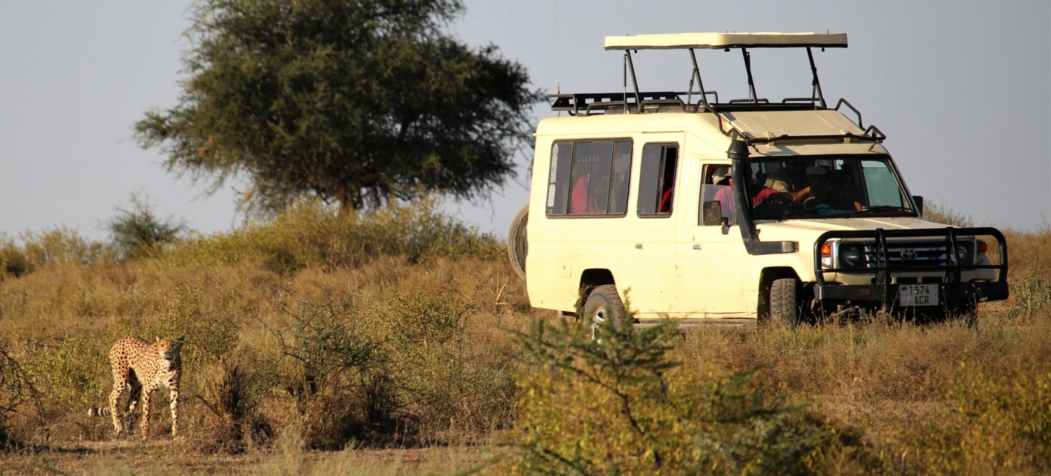 Jeep in Kenia