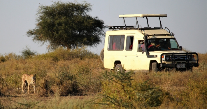 Jeep in Kenia