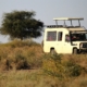 Jeep in Kenia