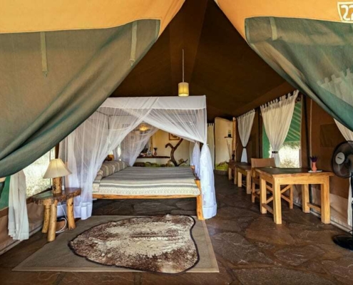 Kibo Safari Camp Kenia