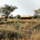 The Whisper Camp Serengeti Tansania