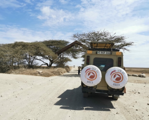 Jeep in der Serengeti