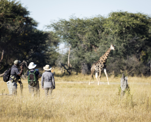 Buschsafari Hwange Nationalpark