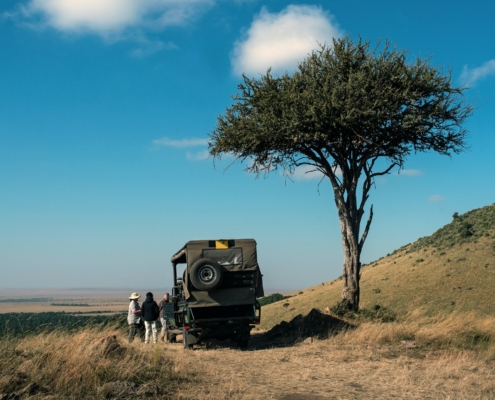 Pirschfahrt in Kenia