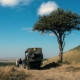 Pirschfahrt in Kenia