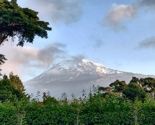 Kilimanjaro am Morgen