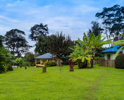 Kilimanjaro Halisi