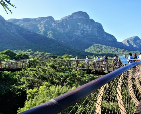 Botansicher Garten Kirstenbosch