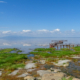 Lake Manyara Nationalpark Landschaft