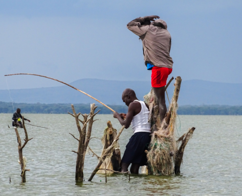 Fischer am Lake Naivasha