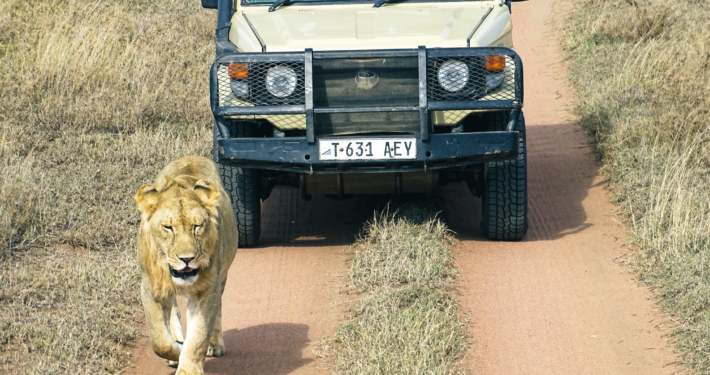 Jeep im Ngorongoro