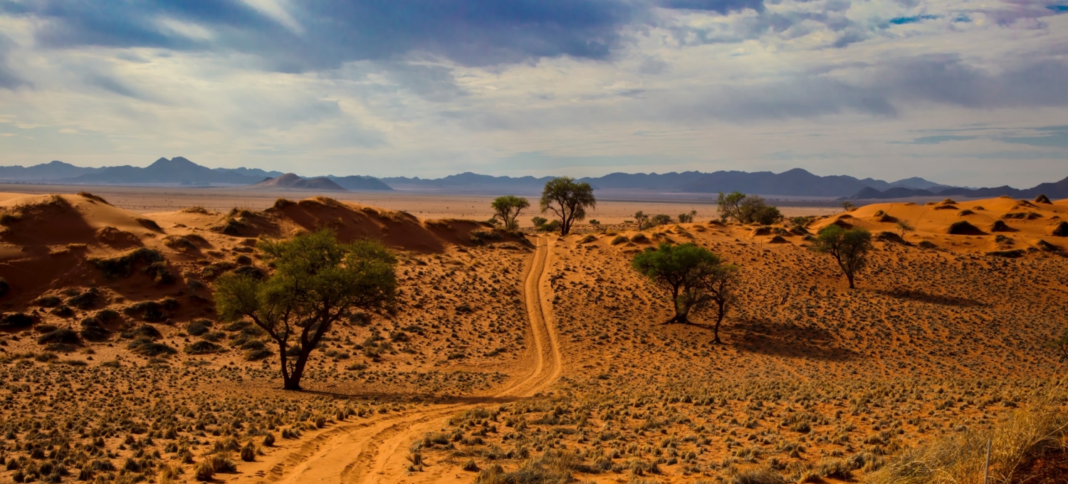 Landschaft in Namibia