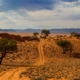 Landschaft in Namibia