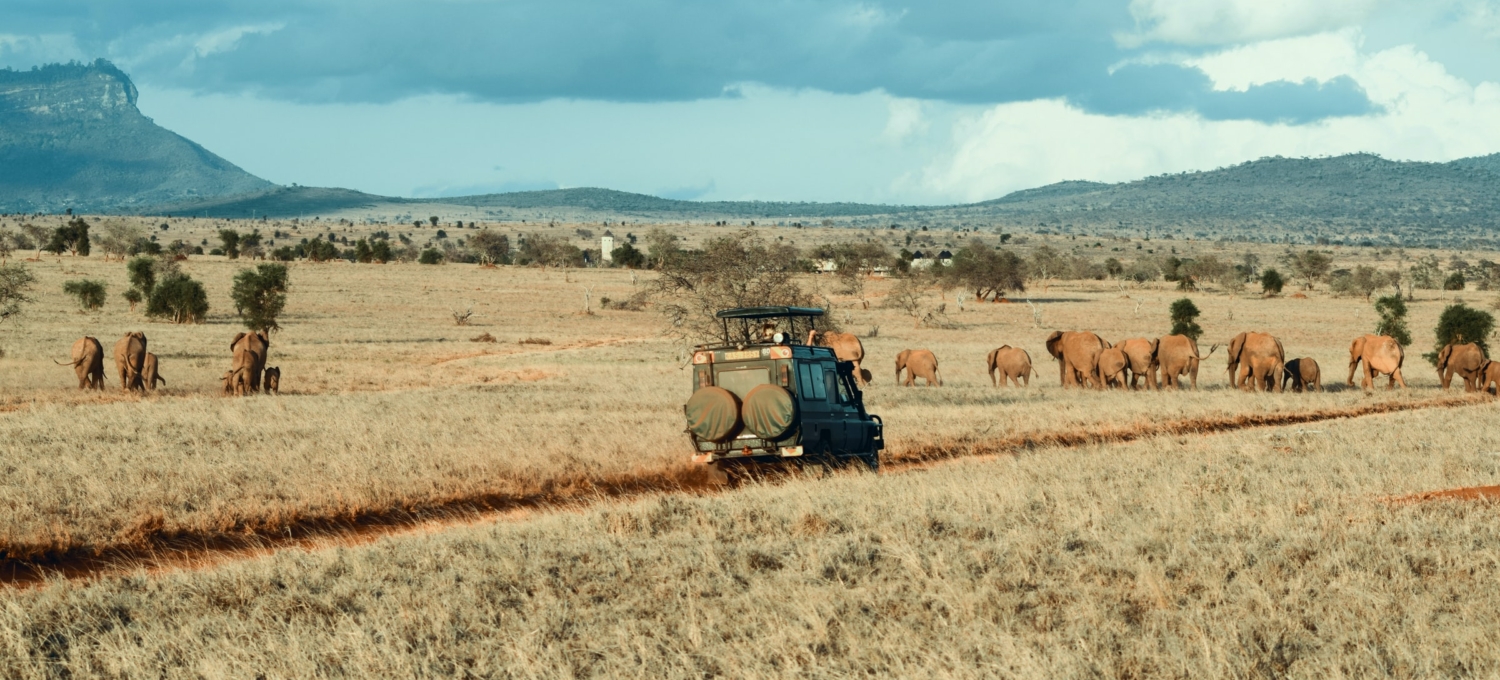 Safari Fahrzeug
