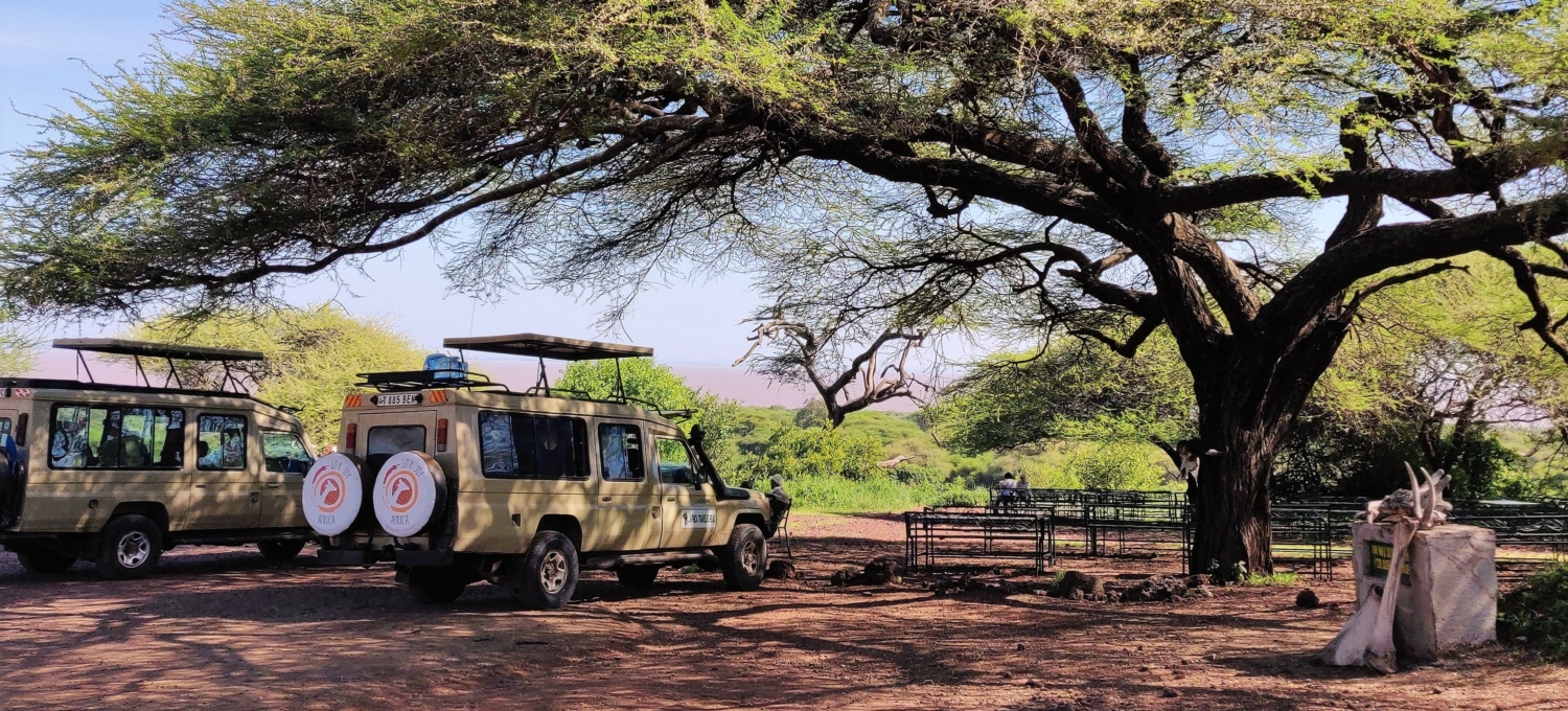 Safari Jeep in der Serengeti