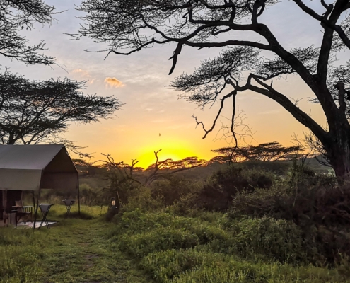 Sonnenaufgang Lake Ndutu Tansania