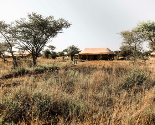 Außenansicht The Whisper Camp Serengeti