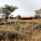 Außenansicht The Whisper Camp Serengeti