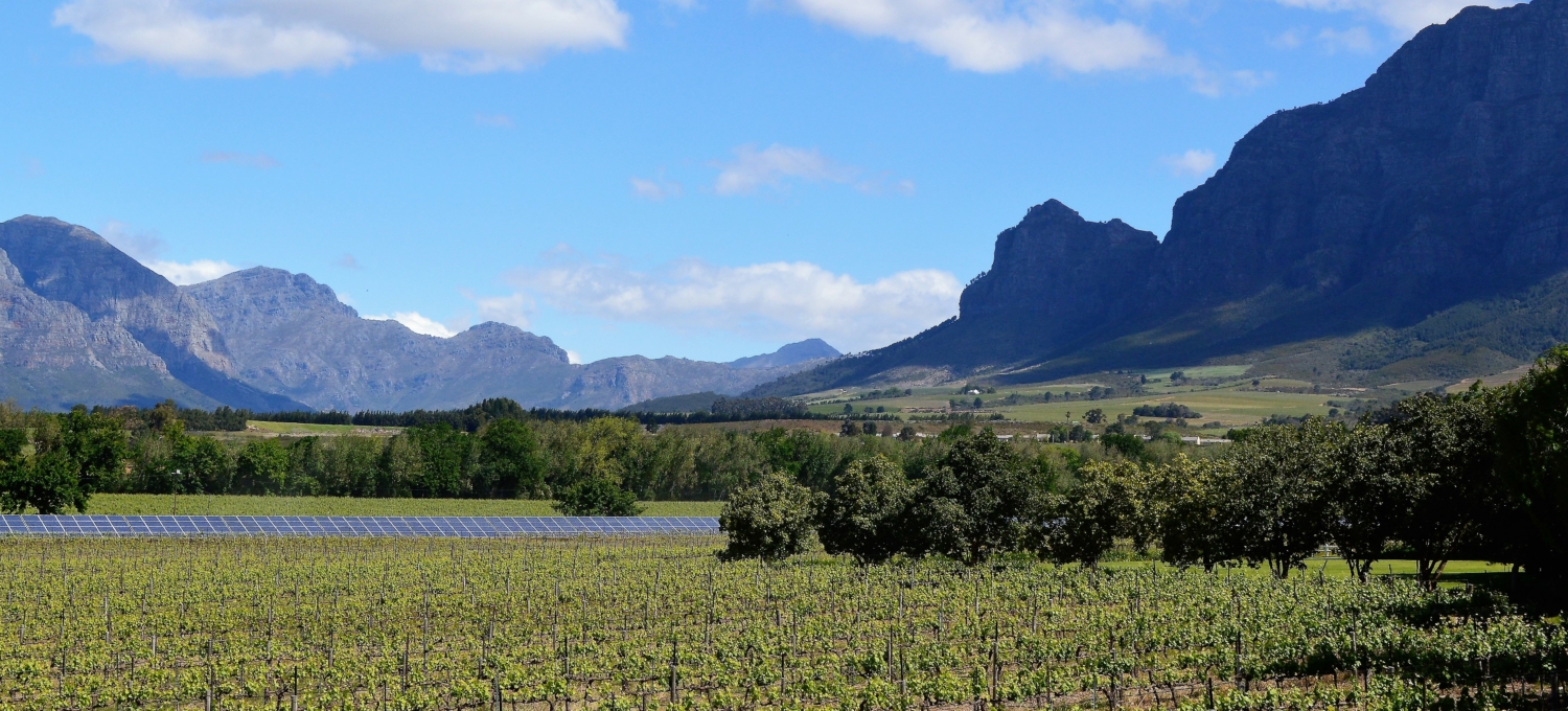 Weinregion Südafrika