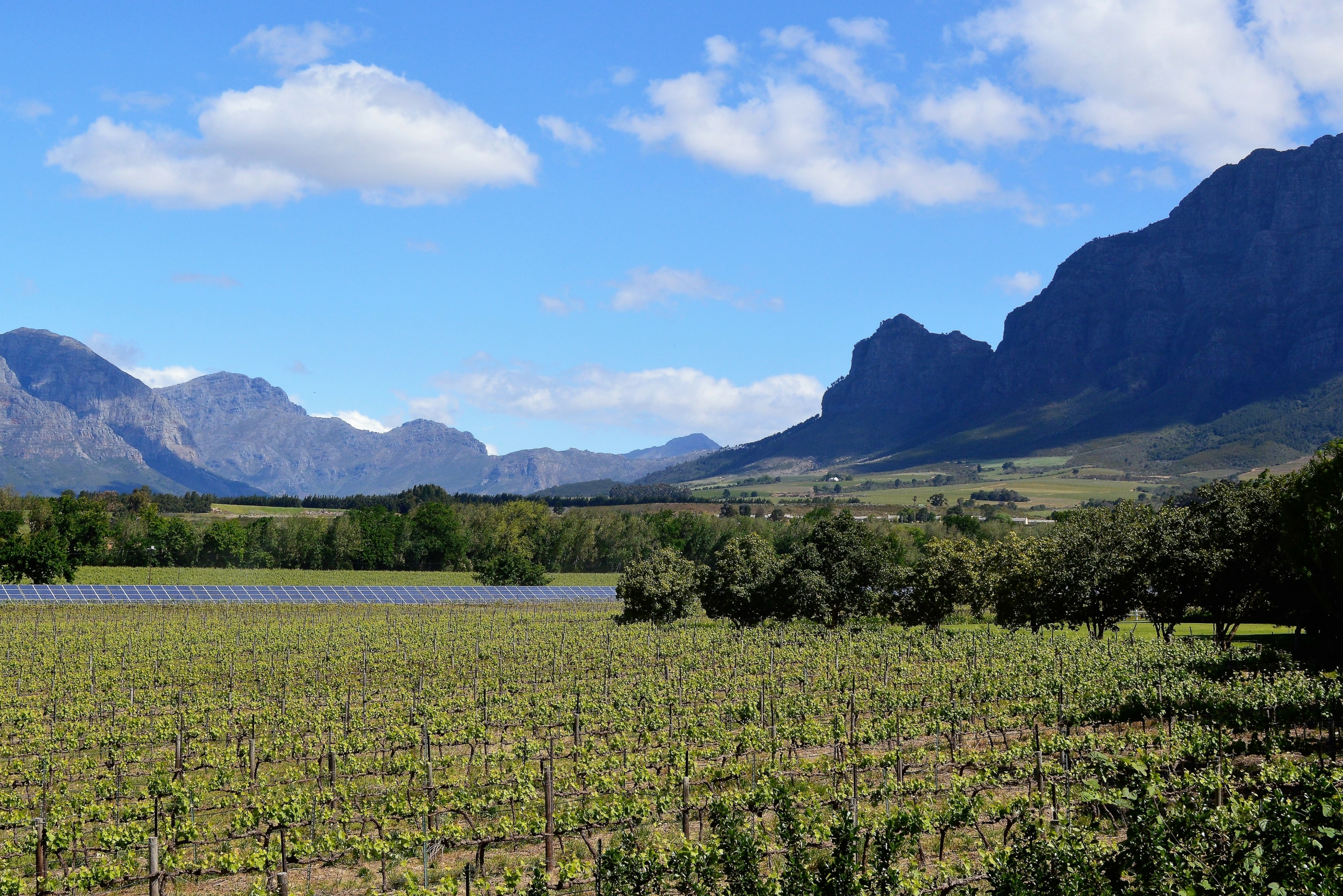 Weinregion Südafrika