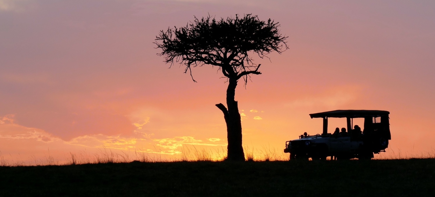 Jeep auf Safari in Kenia