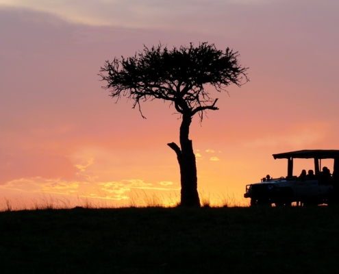 Jeep auf Safari in Kenia