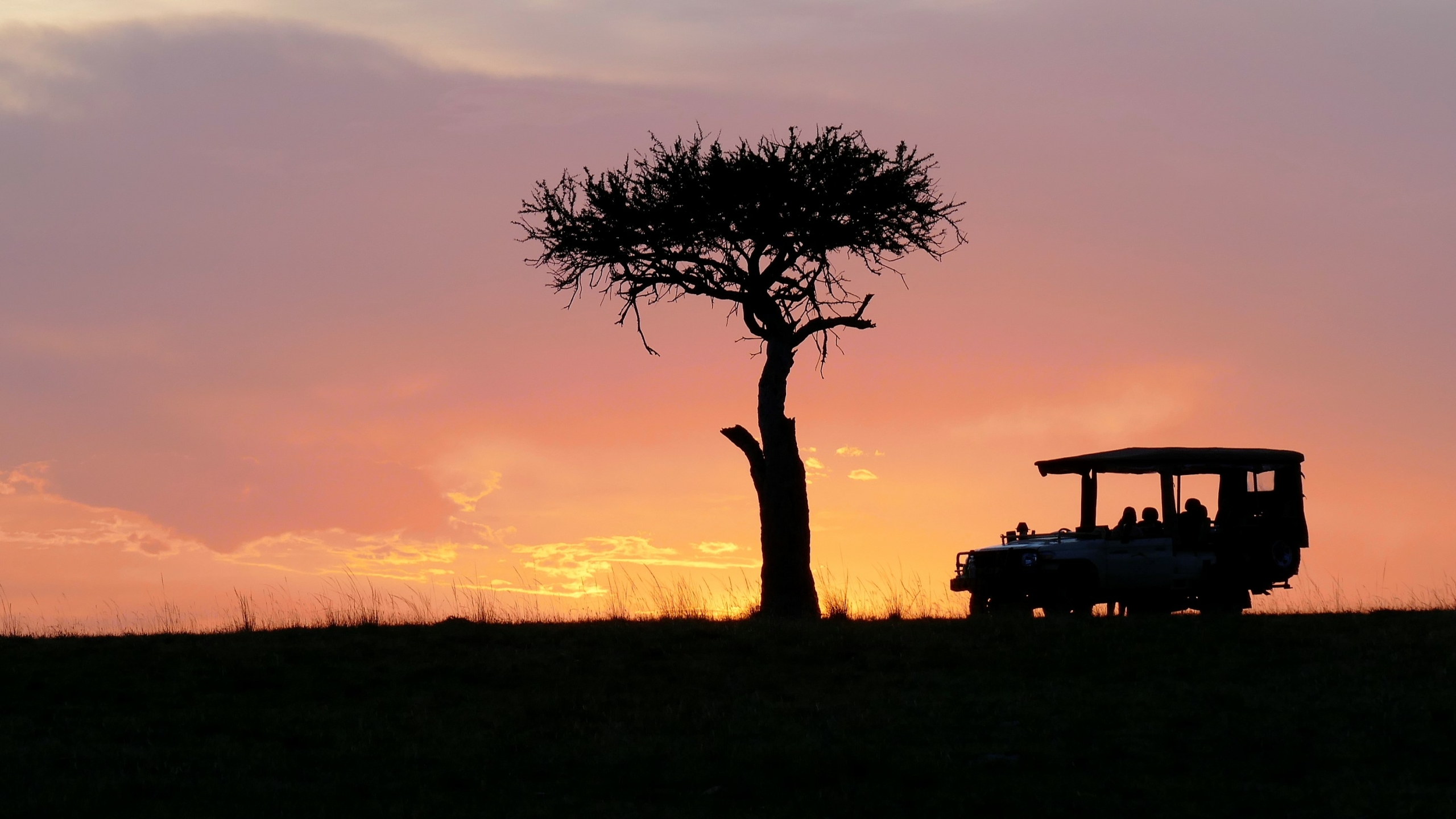 Jeep auf Safari in Kenia