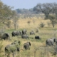 Nkasa Lupala Tented Camp Namibia