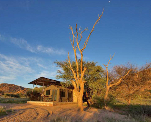Omandumba Camp Namibia