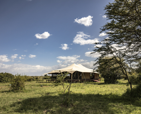 Porini Lion Camp Masai Mara