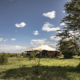 Porini Lion Camp Masai Mara