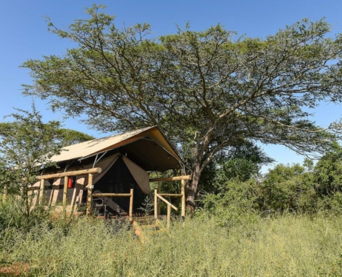 Zululand Lodge Südafrika