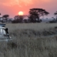 Safari Jeep in Afrika