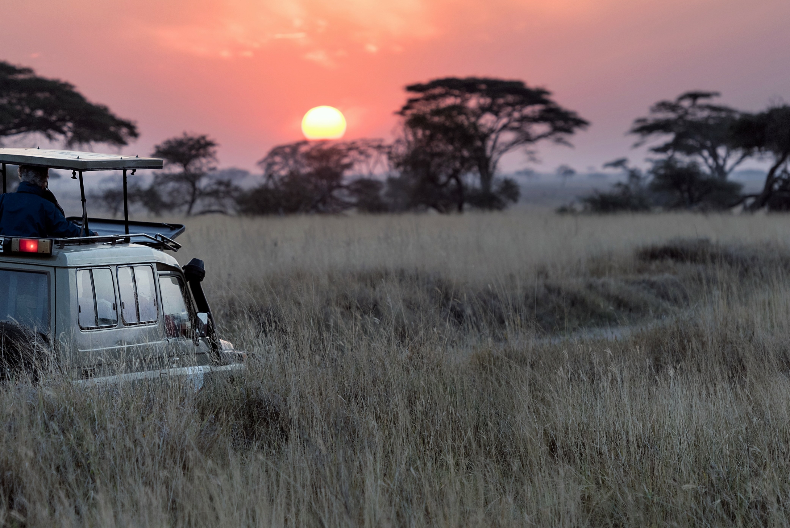 Safari Jeep in Afrika