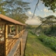 Base Camp Masai Mara