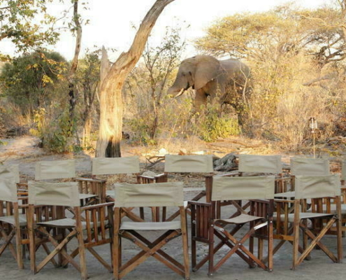 Bedouin Camp Botswana