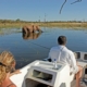 Bootssafari auf dem Safari