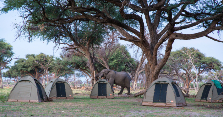 Zeltcamp auf einer Botswana Safari