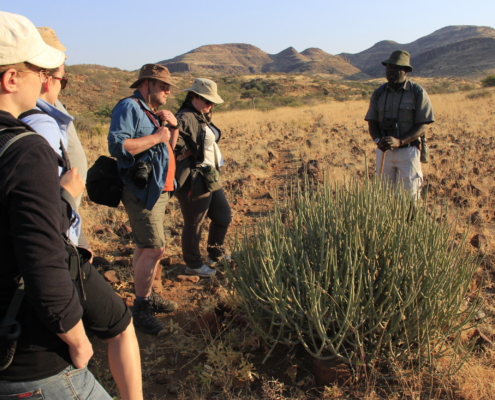 Wandergruppe in Namibia