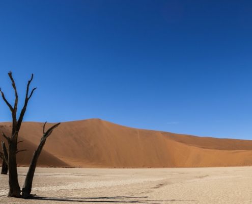 Dead Vlei Namibia