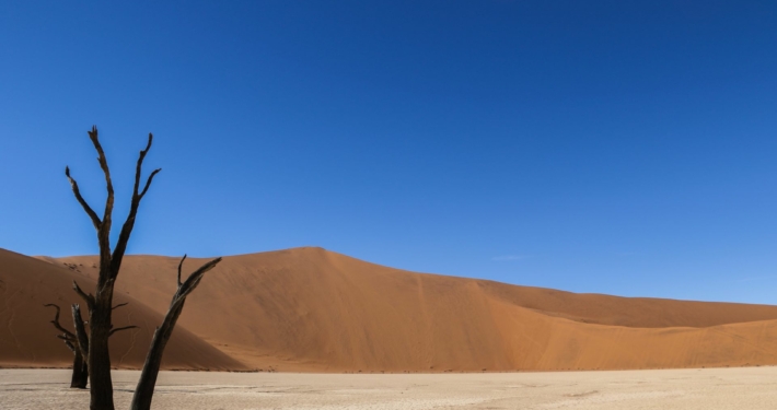 Dead Vlei Namibia