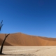 Dead Vlei Namibia