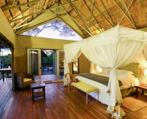 Zimmer Elephants Eye Simbabwe