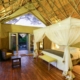 Zimmer Elephants Eye Simbabwe