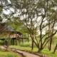 Ivory Lodge Simbabwe
