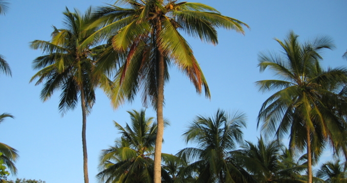 Strand Diani Beach Kenia